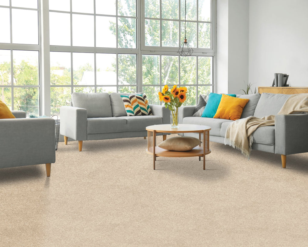 Mohawk Flooring Paw Pathway - room scene