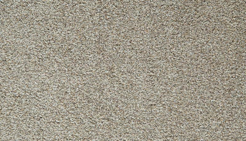Mohawk Flooring Cozy Companion II
