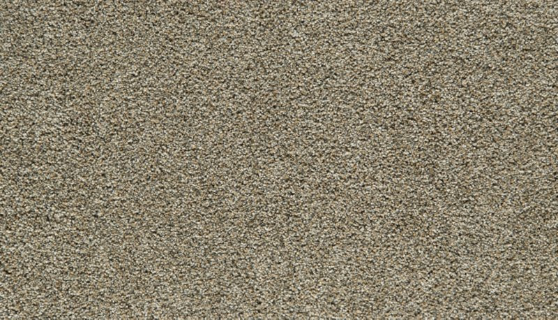 Mohawk Flooring Cozy Companion II