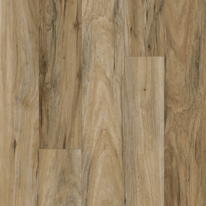 Mohawk Flooring Lookout Trace