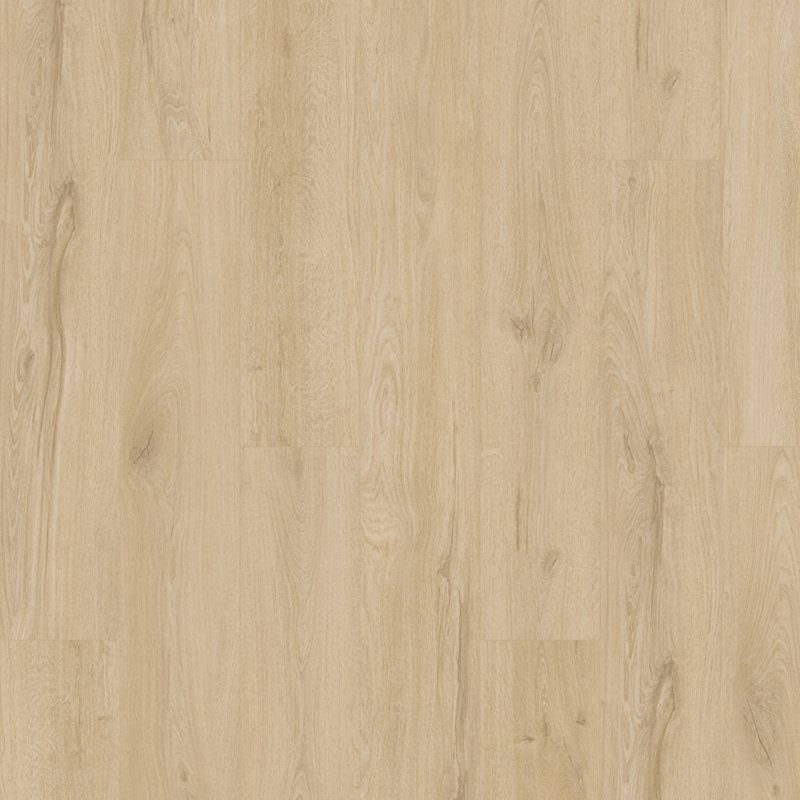 Karastan Artisan Reserve