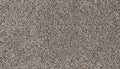 Mohawk Flooring Canine Comfort