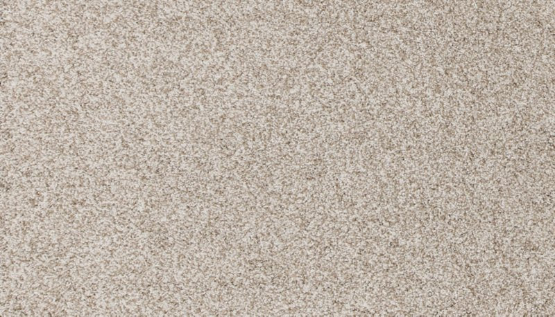 Mohawk Flooring Canine Comfort