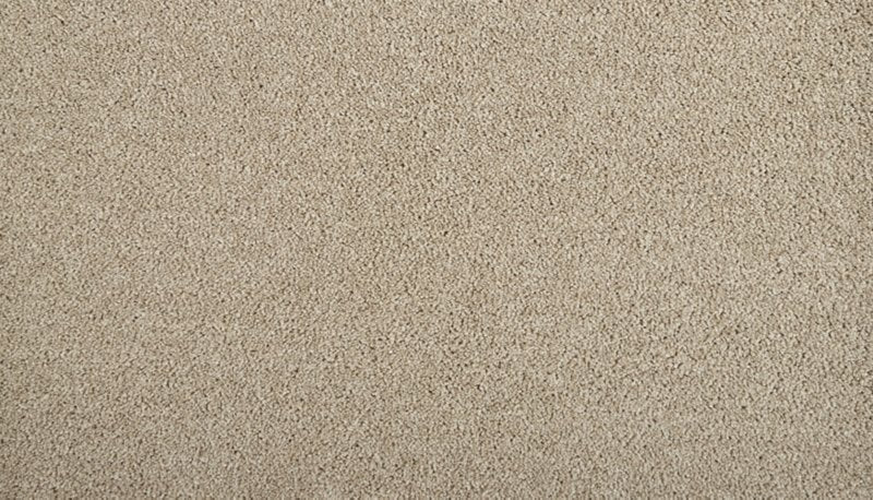 Mohawk Flooring Zenith