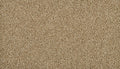 Mohawk Flooring Classic Fit I