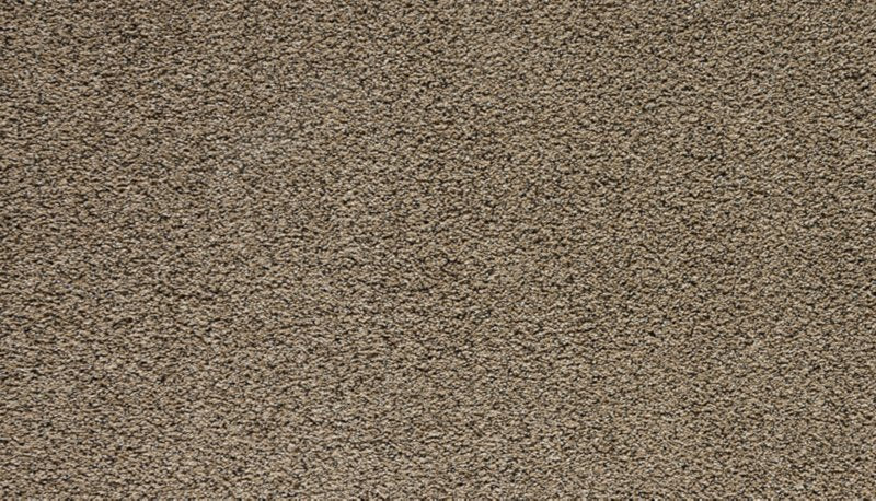 Mohawk Flooring Assorted Elements II