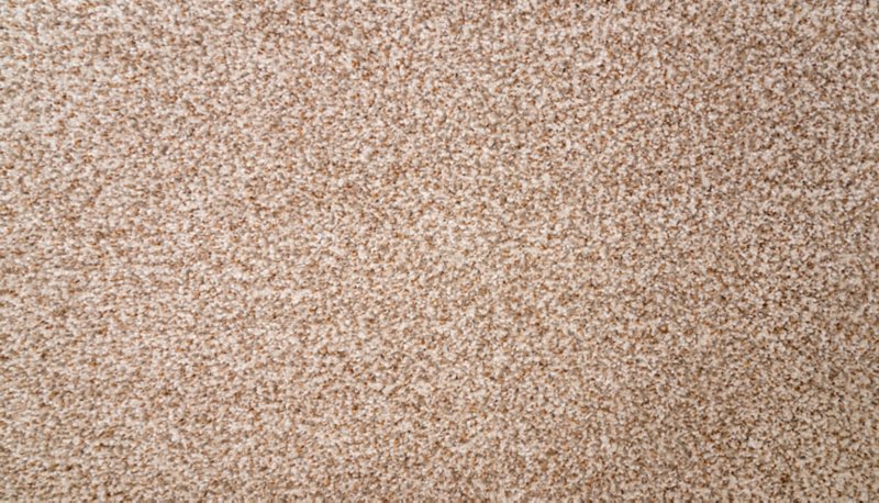 Mohawk Flooring Natural Selection I