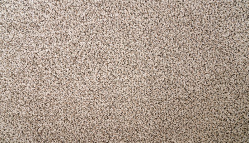 Mohawk Flooring Natural Selection I