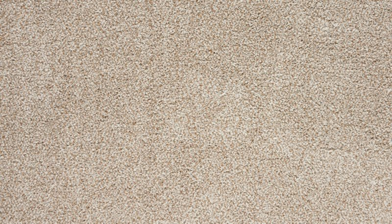 Mohawk Flooring Natural Selection I