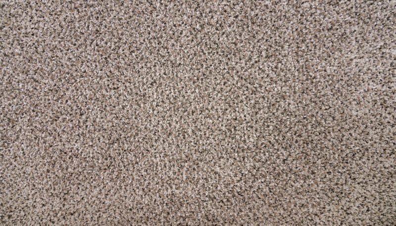 Mohawk Flooring Natural Selection I