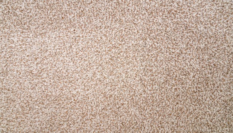 Mohawk Flooring Natural Selection II