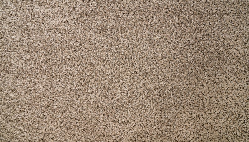 Mohawk Flooring Natural Selection II
