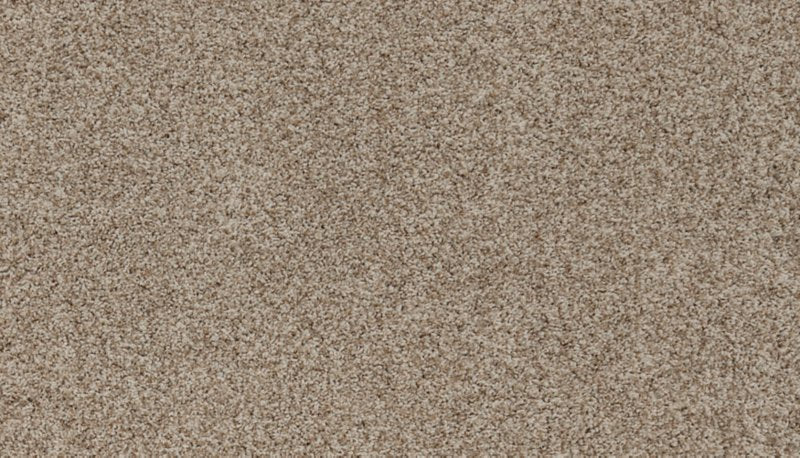 Mohawk Flooring Apricity