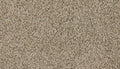 Mohawk Flooring Haymaker