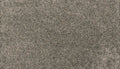 Mohawk Flooring Paw Pathway