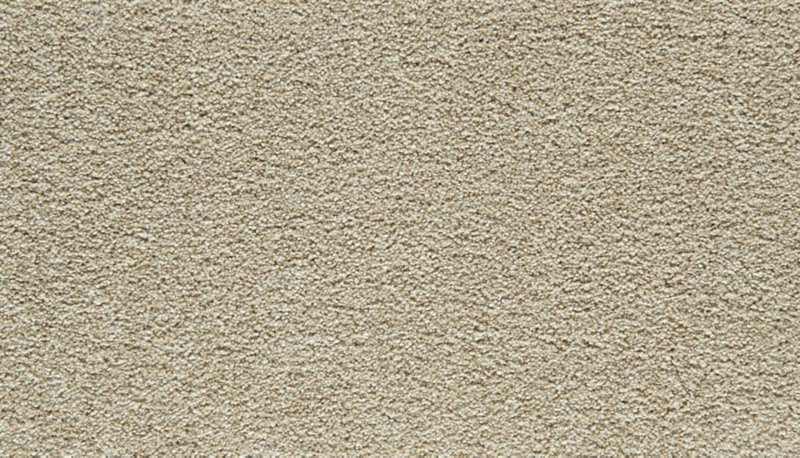 Mohawk Flooring Gentle Guardian I