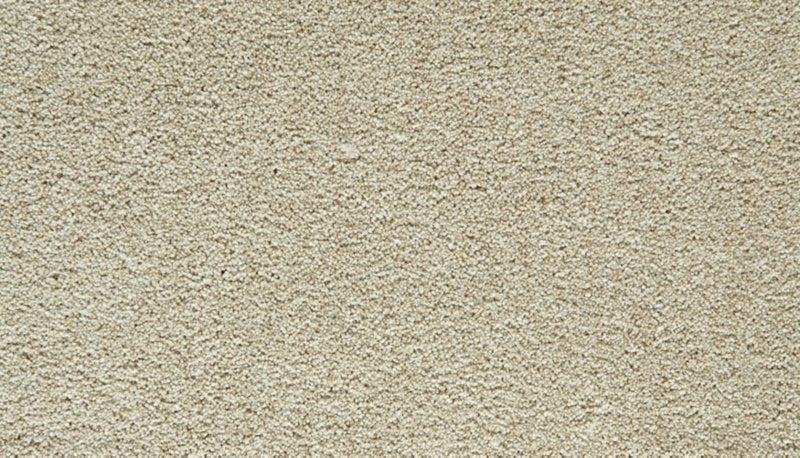 Mohawk Flooring Gentle Guardian I