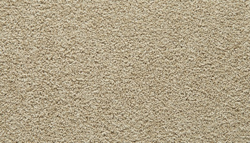 Mohawk Flooring Gentle Guardian I
