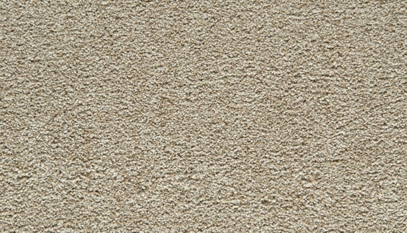 Mohawk Flooring Gentle Guardian I