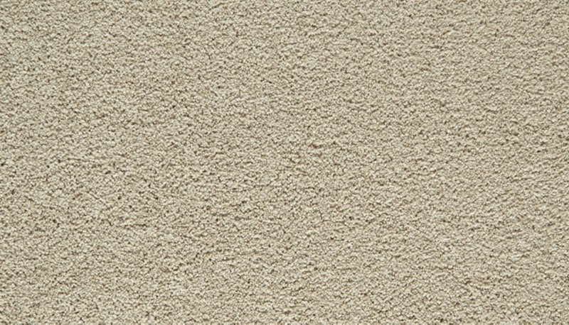 Mohawk Flooring Gentle Guardian I