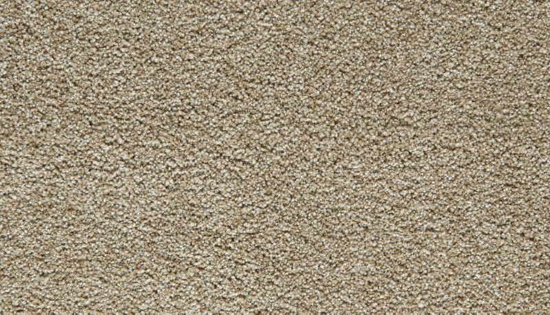 Mohawk Flooring Gentle Guardian I