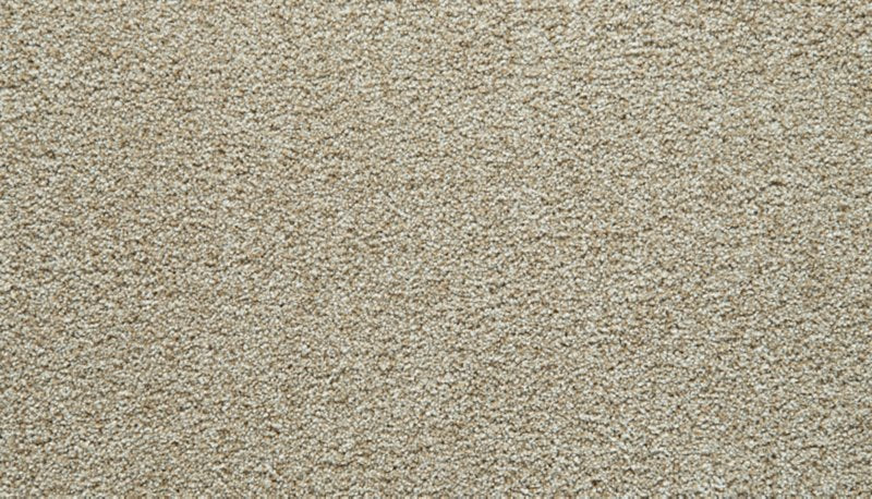 Mohawk Flooring Gentle Guardian I
