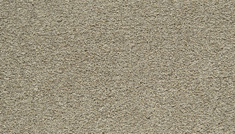 Mohawk Flooring Gentle Guardian I