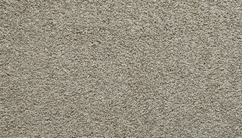 Mohawk Flooring Gentle Guardian I