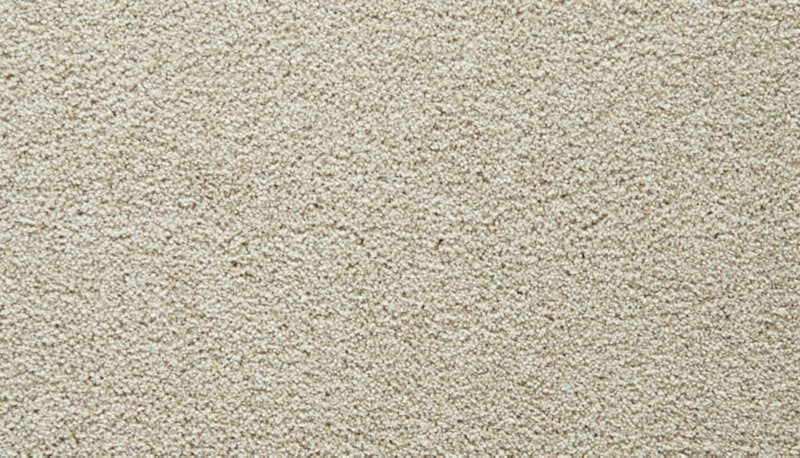 Mohawk Flooring Gentle Guardian III