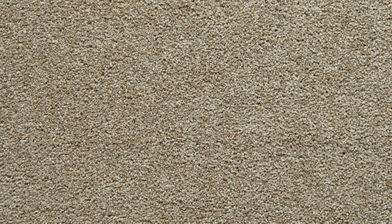 Mohawk Flooring Gentle Guardian III