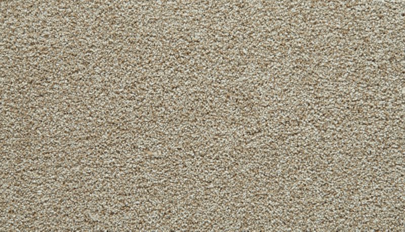 Mohawk Flooring Gentle Guardian IV