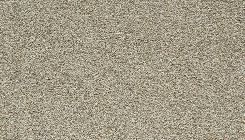 Mohawk Flooring Cozy Companion I