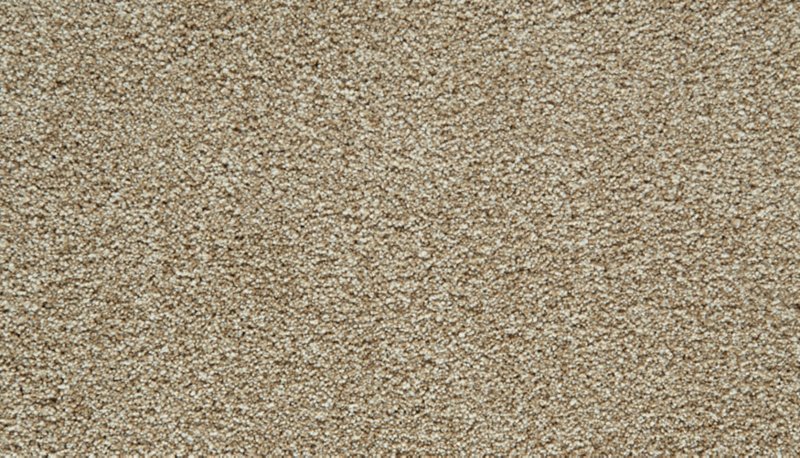 Mohawk Flooring Cozy Companion I