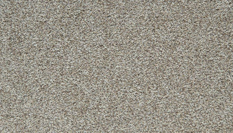 Mohawk Flooring Cozy Companion I