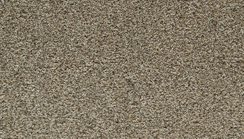 Mohawk Flooring Cozy Companion I