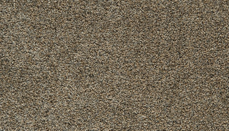 Mohawk Flooring Cozy Companion I