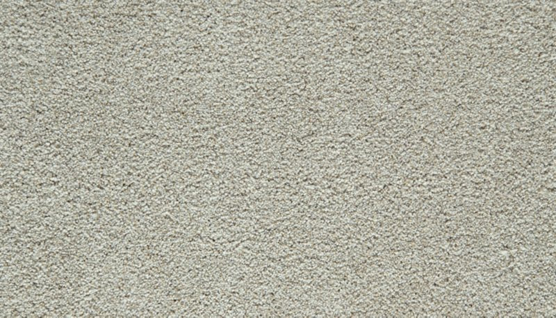 Mohawk Flooring Cozy Companion I