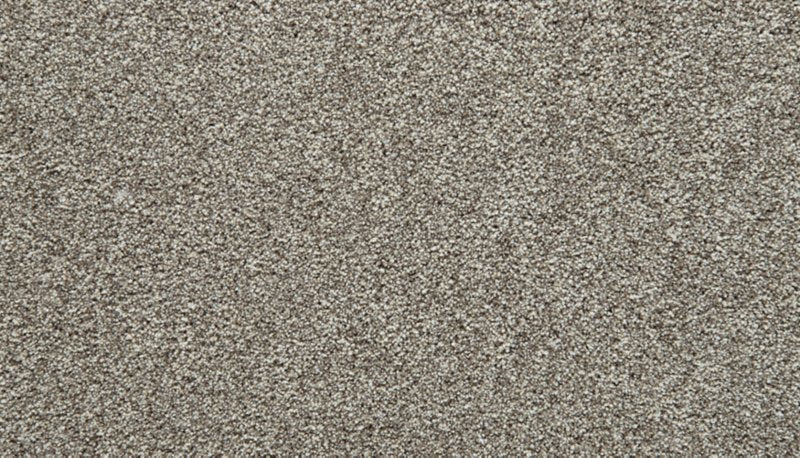 Mohawk Flooring Cozy Companion I