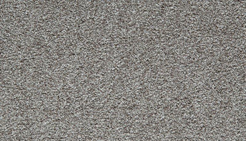 Mohawk Flooring Cozy Companion I