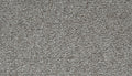 Mohawk Flooring Cozy Companion I