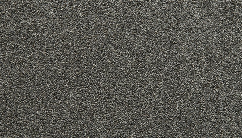 Mohawk Flooring Cozy Companion I