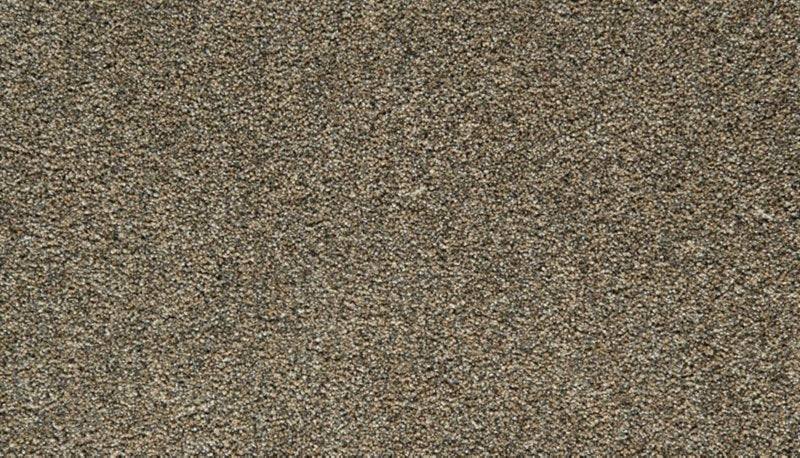 Mohawk Flooring Cozy Companion II