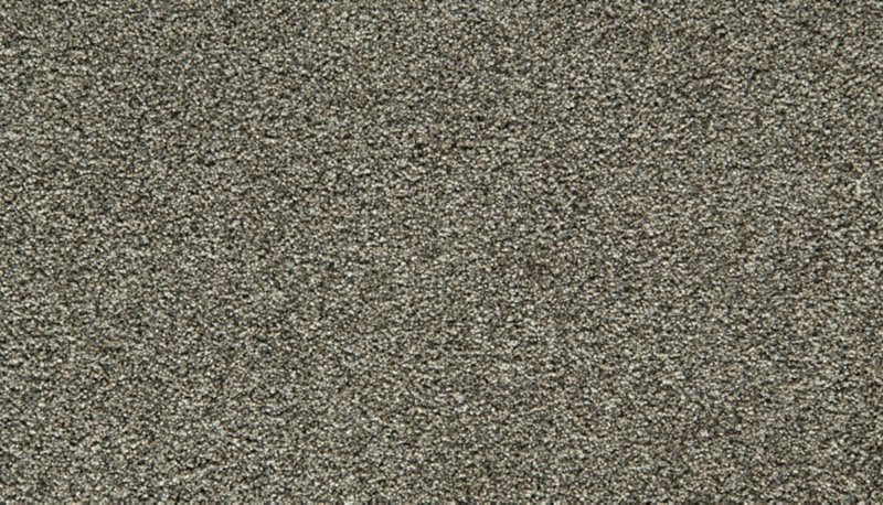 Mohawk Flooring Cozy Companion II