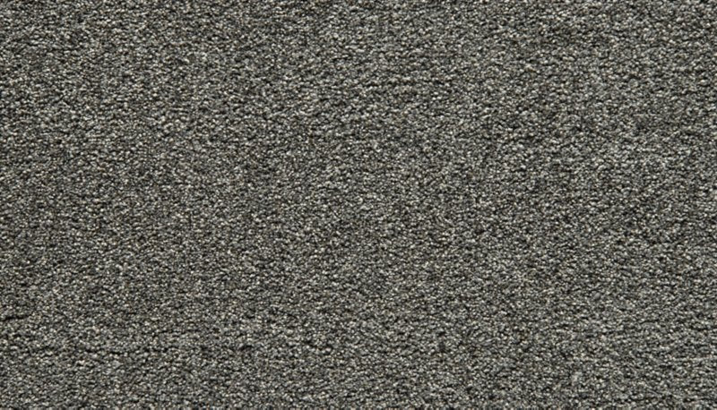 Mohawk Flooring Cozy Companion II