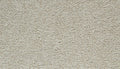 Mohawk Flooring Cozy Companion III