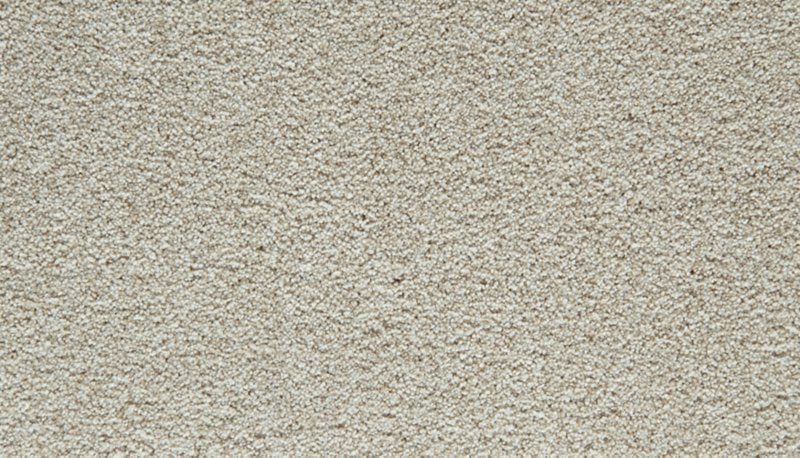 Mohawk Flooring Cozy Companion III