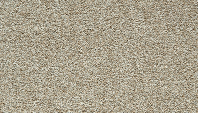 Mohawk Flooring Cozy Companion III