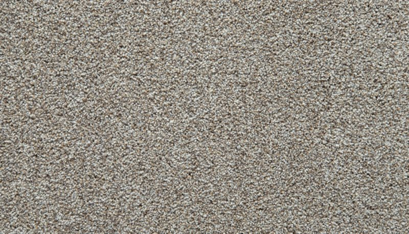 Mohawk Flooring Cozy Companion III