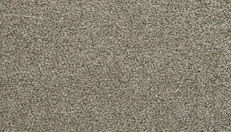 Mohawk Flooring Cozy Companion III