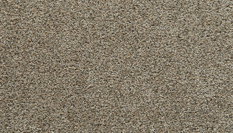 Mohawk Flooring Cozy Companion III